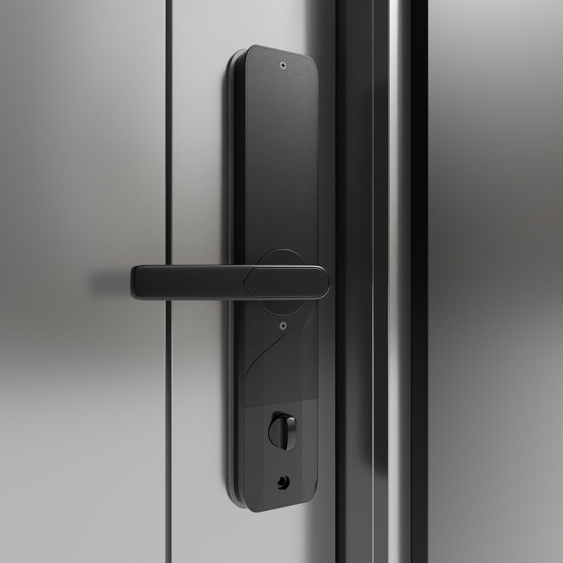 Khóa Cửa Vân Tay Điện Tử Thông Minh DL882 - Hình ảnh 2